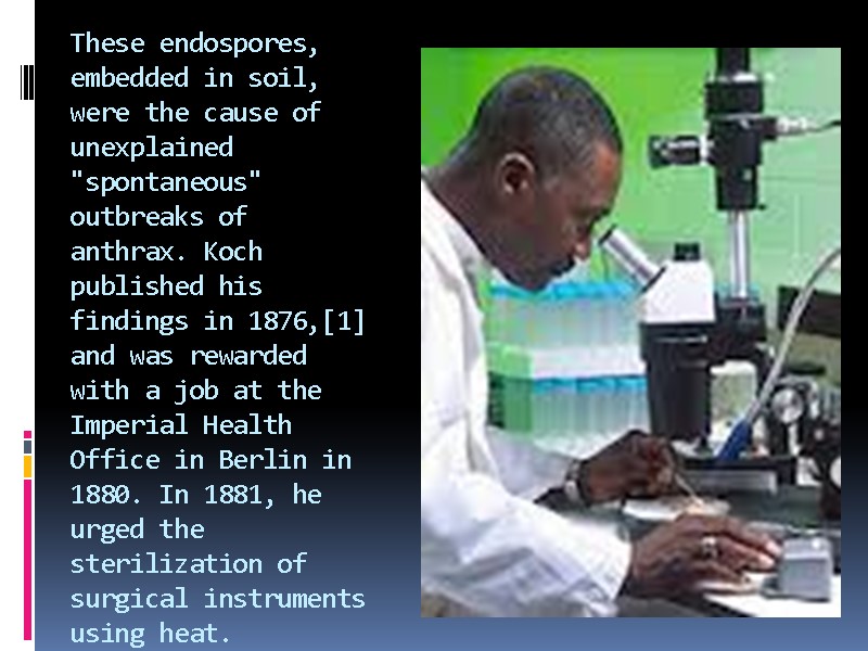 These endospores, embedded in soil, were the cause of unexplained 